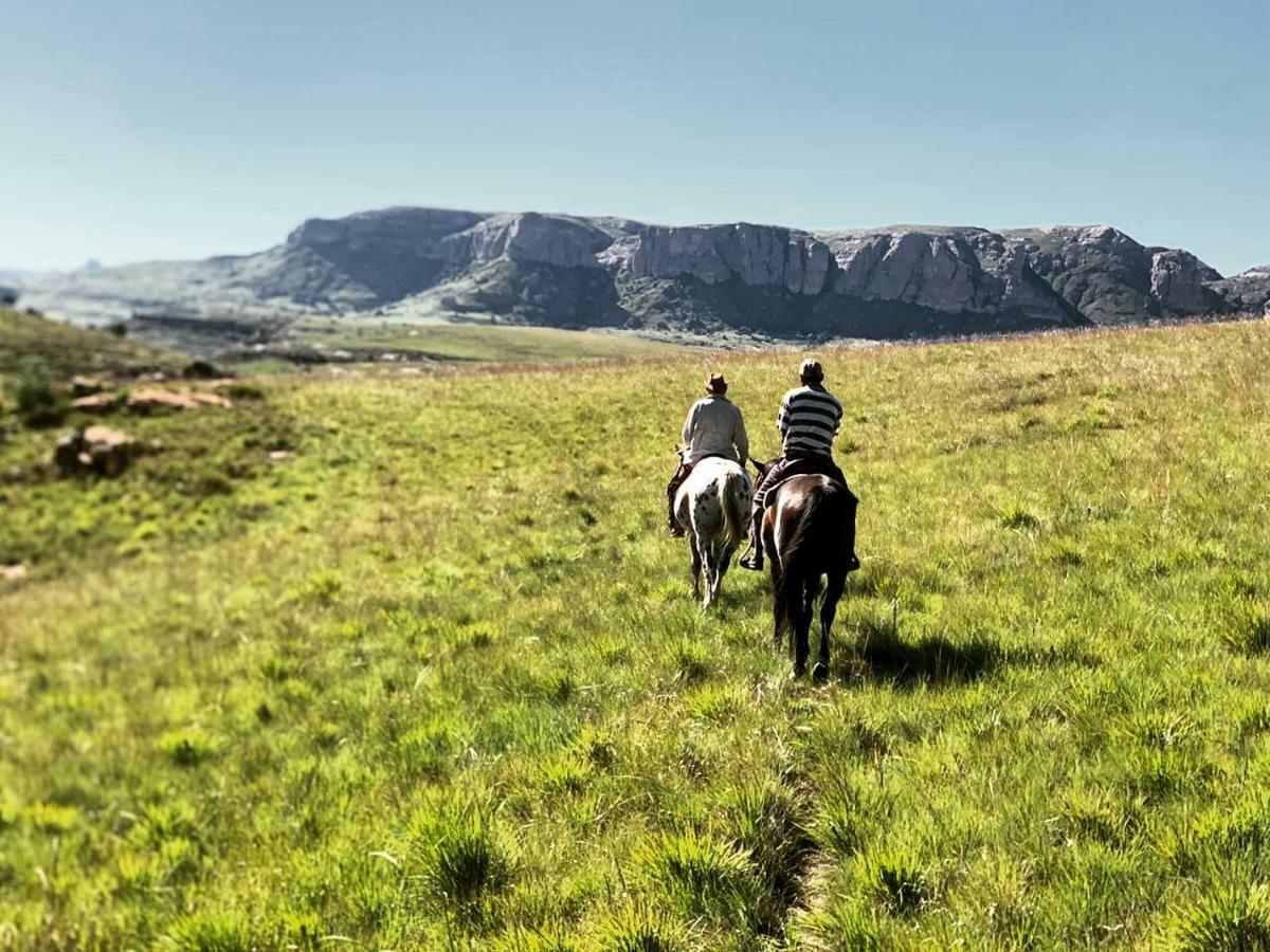 Wild Horses Lodge Harrismith Extérieur photo